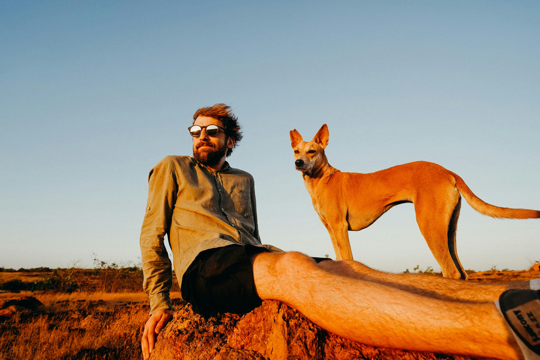 Dog Packing Checklist
