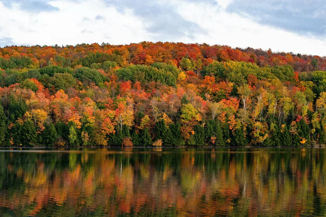 Chasing Colours: Road Trip Through New England and Québec’s Autumn Splendor