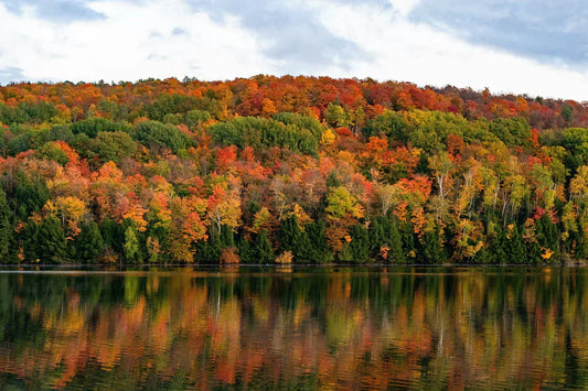 Chasing Colours: Road Trip Through New England and Québec’s Autumn Splendor