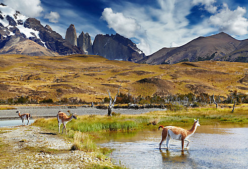 What to Pack for a Patagonia Adventure