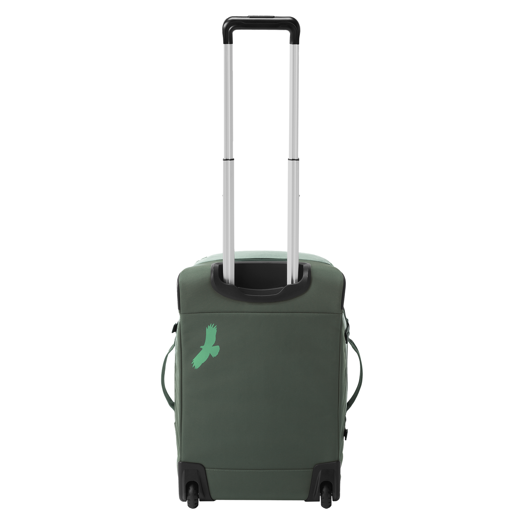 DUCK GREEN