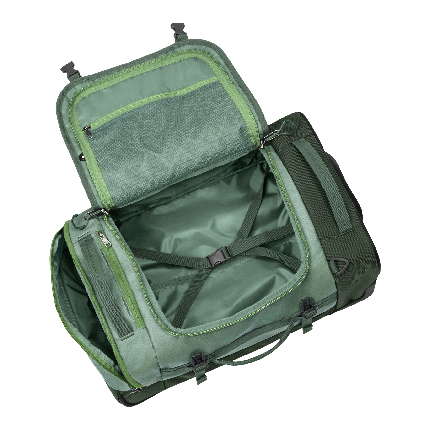DUCK GREEN