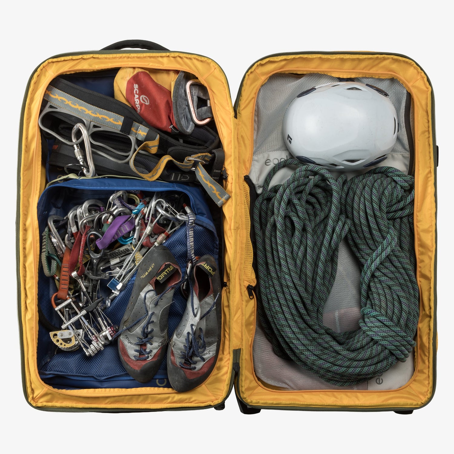 ORV 30 Trunk - OLIVE GREEN